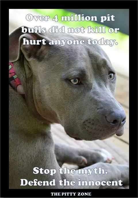 speakforthepits: Defend the innocent Always