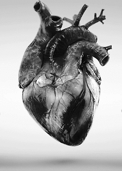 treenymphh:  † ☽ My blog will make you scream. ☽ †