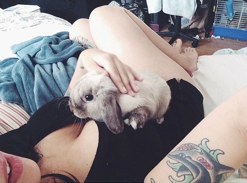 oktimeforplanbee:  Tumblr: baileyarber 
