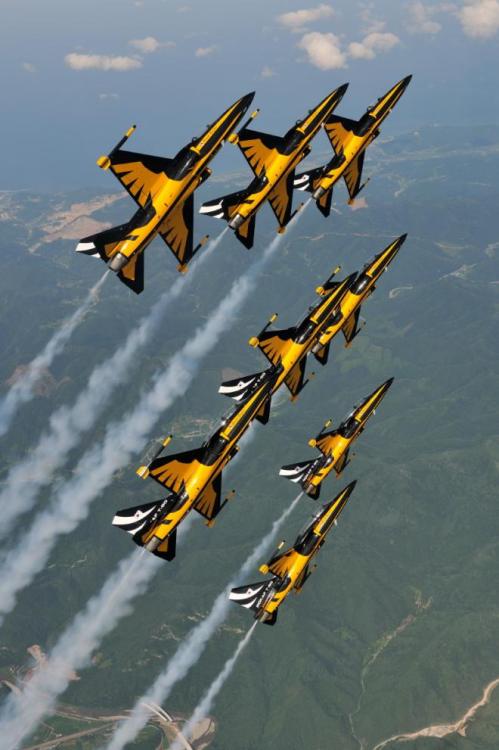 michell169:  T-50 Aguilas Negras. Corea.