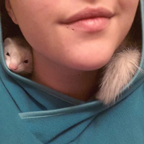 awwww-cute:  Sweet baby Millie