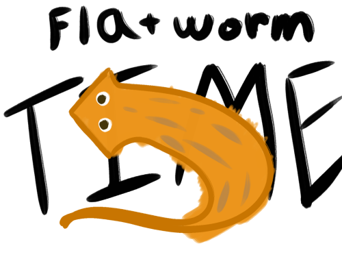 worm time