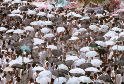 ouilavie:  A.Abbas. Saudi Arabia. Arafat. Pilgrims. 1992. 