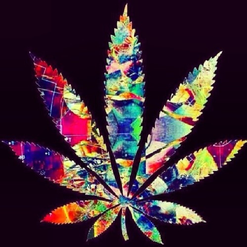 swankunion:  #SwankUnion #salute #cannabiscommunity #maryjane #cannabisculture #trippyshit #instagood #gethigh #girlswhosmoke #instamood #weedstagram420 #psychedelic #420 #baked #stoner #marijuana #blunts
