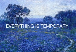 risfiorire:  Julian Onderdonk #6 // everything is temporary  