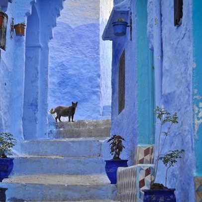 cristianowouldnttreatmelikethis:• Morocco in colors.