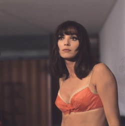 miss-accacia27:  Elsa Martinelli