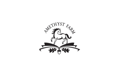 Logo designs for Amethyst Farm. The farm boards horses, hosts a local CSA and is active part of the 