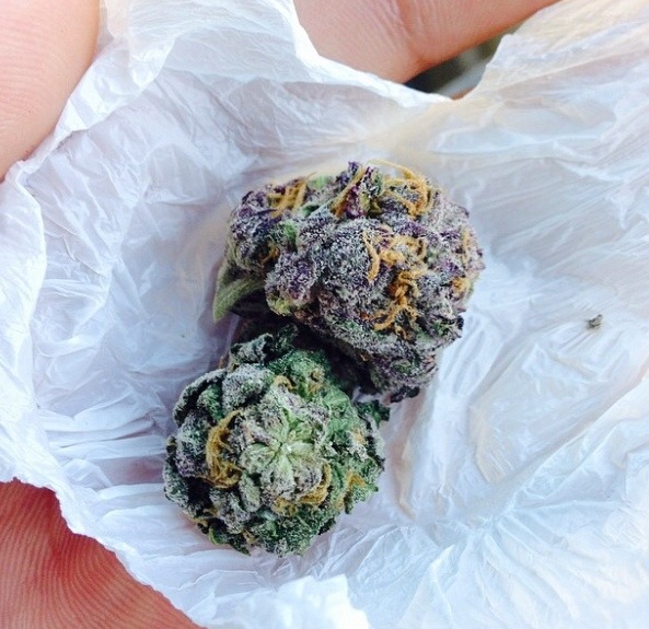 bluntrollerandsmoker:  Gods Gift 