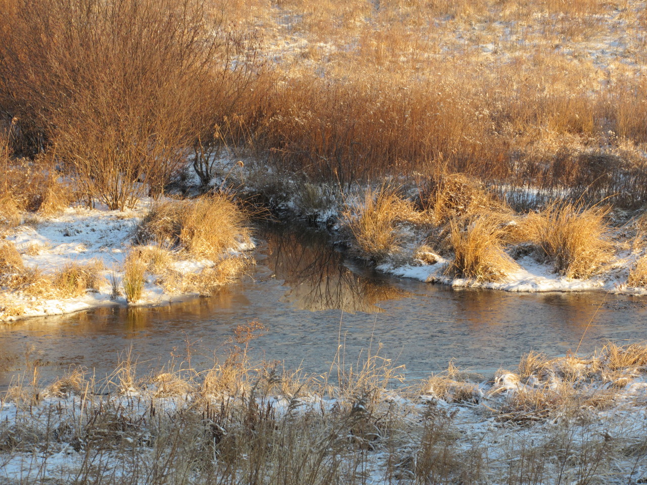 geopsych:  Snowy landscapes near the ridge.