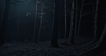 whitefluffyyeti:A discovery of witches s01e07