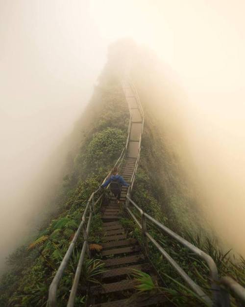 theadventurouslife4us: #adventure , Stairway to heaven  | Oahu | Josiah William Gordon