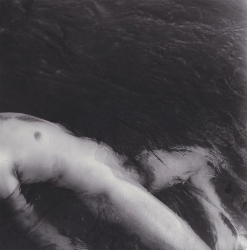 brackenstudies:  summer