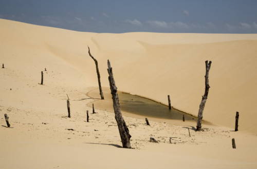 barcarole: Lençois Maranhenses, Maranhao, Brazil, 2008. Photos by Bruno Barbey.