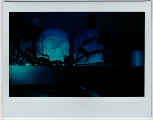 instax skulls