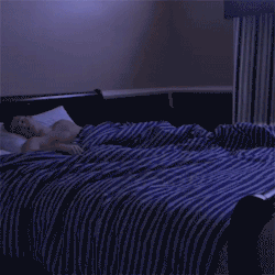 onlylolgifs:  When you’re trying to sleep and something crawls on you.. 