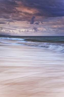 tulipnight:   Seahorse by D Breezy - davidthompsonphotography.com