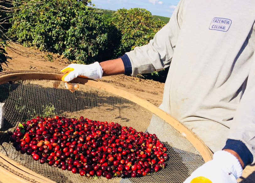 Entendiendo Los Diferentes Tipos de Máquinas de Espresso - Perfect Daily  Grind Español