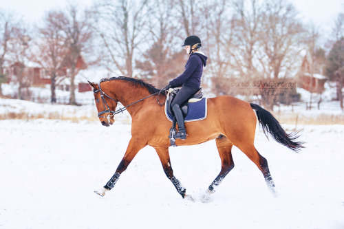 trail riding