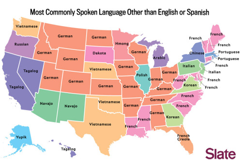 aardwolfpack:  yllohleaves:  What language does your state speak?  see more here!  Apparently Iowans know what the fox says.