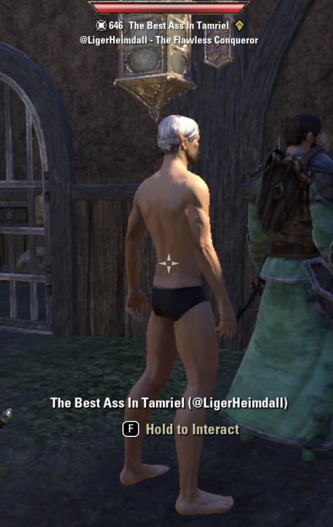 elderscrollscryptids: Player name: The Best Ass In TamrielDescription: an elven character with an ab