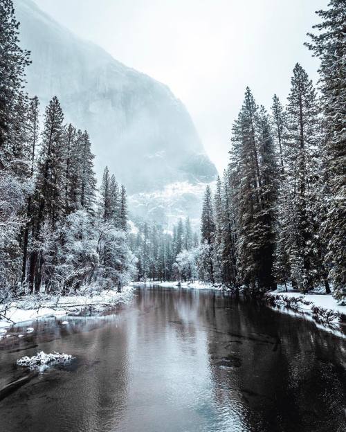 throughwinterfields:ryanresatka