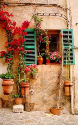 bonitavista:  Mallorca, Spainphoto via darrell