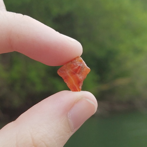 muddyandfoxgloved:Lately I’ve been spending a lot of time picking out stones by a nearby creek. Here