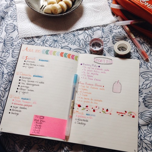 4.08.2015 // I Love Bullet Journaling :~) Ft. Bad Doodles