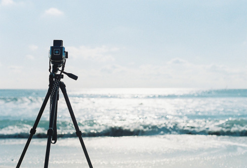 amare-ebrius:  hasselblad (by ayumilife)