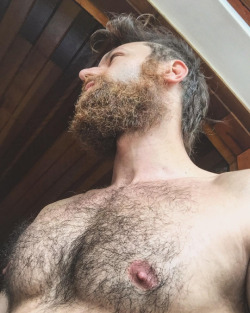 hairy nice men