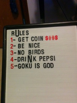 friendlycoolguy: just some house rules for my followers