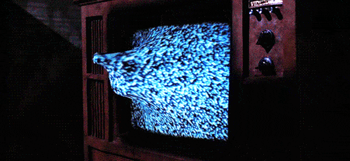 talent-only: Videodrome | 1983