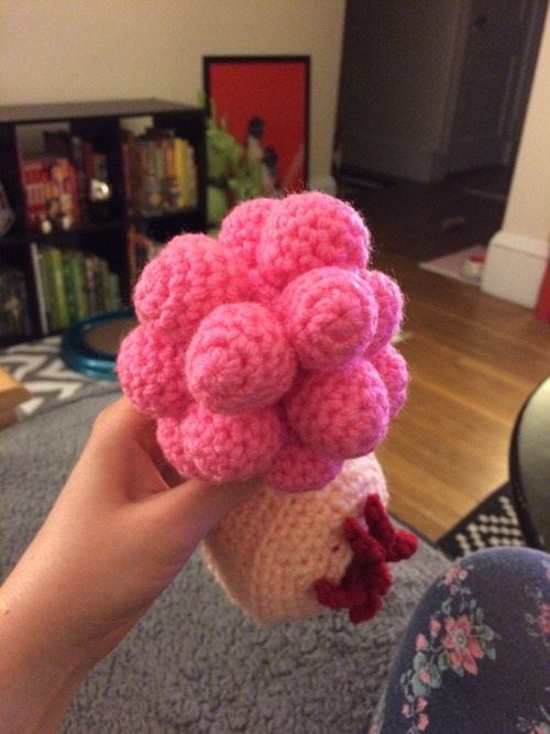 Please enjoy these crappy photos of the crocheted plumbus I just finished