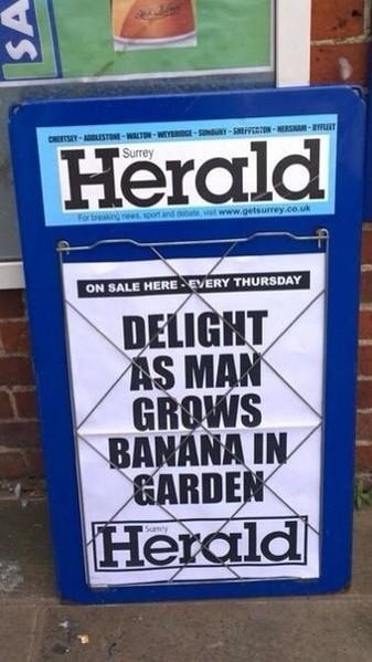 floskii:  Exciting headlines from British local papers  leebroughall