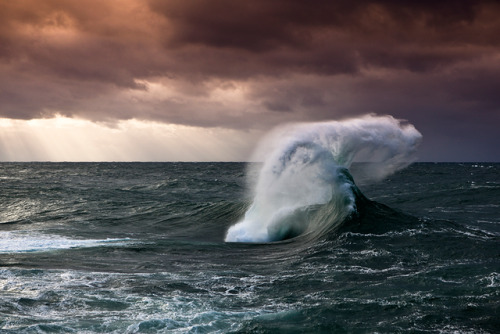 Moby’s Tailwww.WarrenKeelan.com