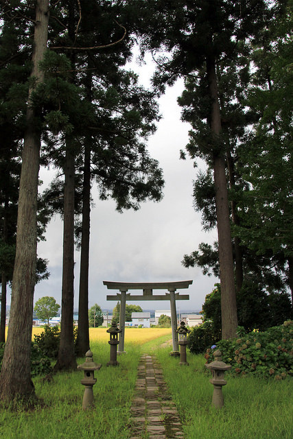 yorozuna:宇都宮神社参道 2 on Flickr.