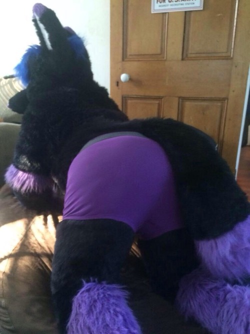 Courtesy of @FursuitButts. ;P ***Not Murrsuits*** ~Follow For More~