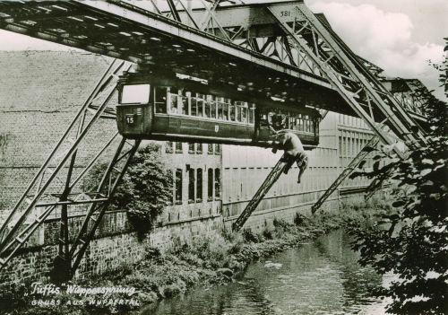 historylover1230: Elephant breaks free from German monorail, 1950. On 21 July 1950, in town of 