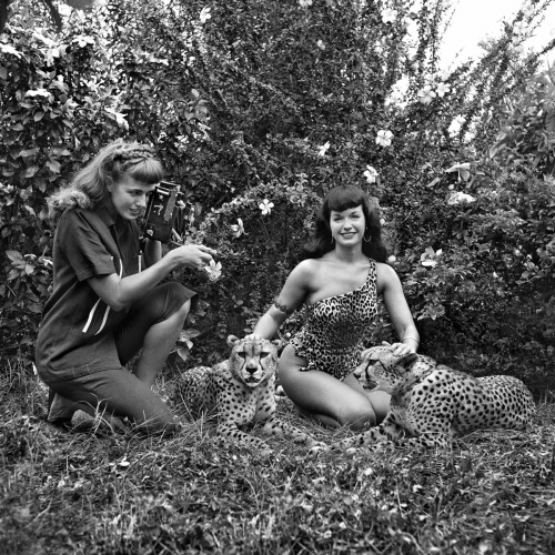 Porn Pics 20th-century-man:  Bunny Yeager shoots Bettie