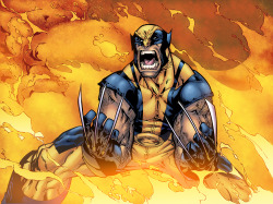 logicfun:  Wolverine by logicfun