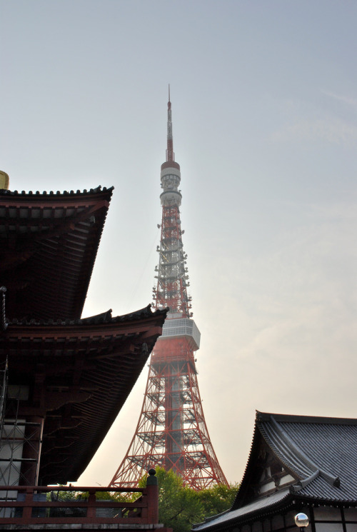 Tokyo Tower Just behind the Zojoji Temple.By : Jaime Pérez(Do not remove credits)