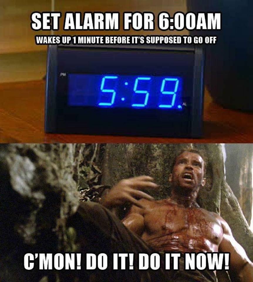 blazepress:  Every… Single… Morning.