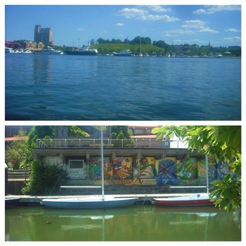 Much needed nature and site seeing on a beautiful day 😌 #baltimore #maryland
