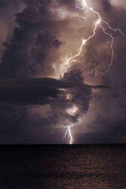 c1tylight5:  Lightning over the Gulf of Mexico