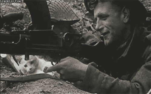 enrique262:A british Bren light MG operator playing with a cat.