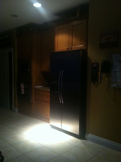 theaceoffours:  shrill-ex:  most of the lights are out in my kitchen so there’s a spotlight on my fridge   BE… OUR… GUEST 