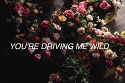 onlygrungeshit:Troye Sivan - Wild