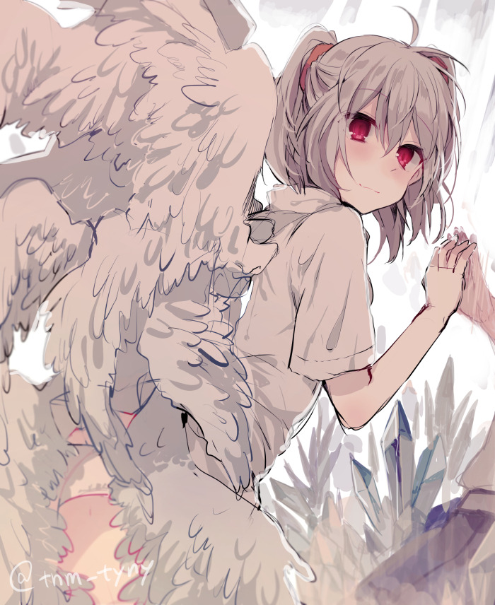 tanumapt:  合わせ鏡