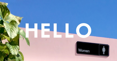 Newsletter header image for Girl on Girl Collective.